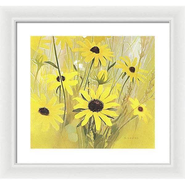 Black Eyed Susan - Framed Print | Artwork by Glen Loates