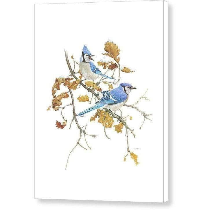 Blue Jays - Canvas Print | Artwork by Glen Loates