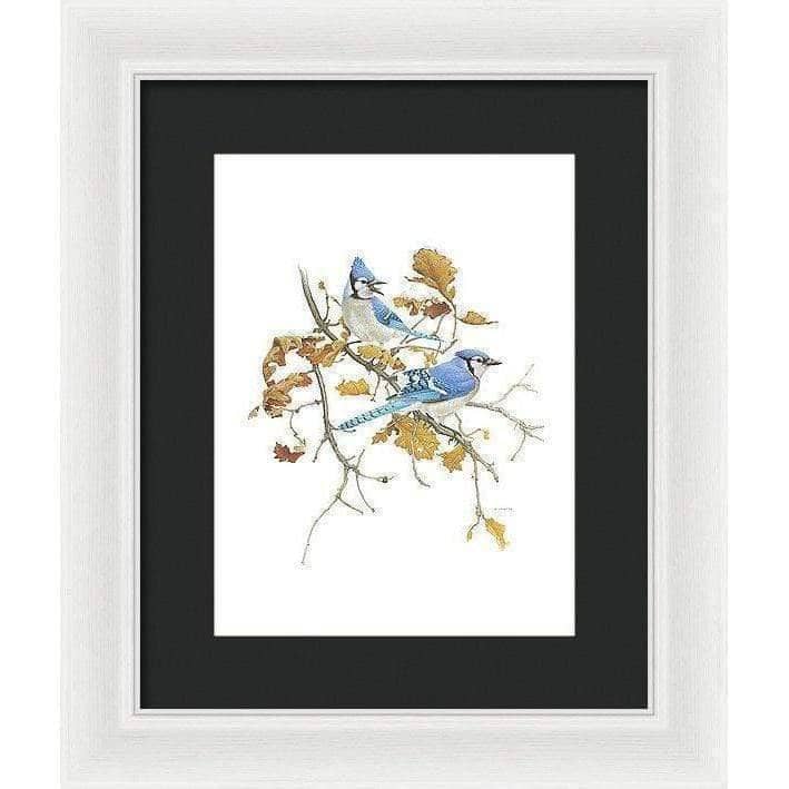 Blue Jays - Framed Print | Artwork by Glen Loates