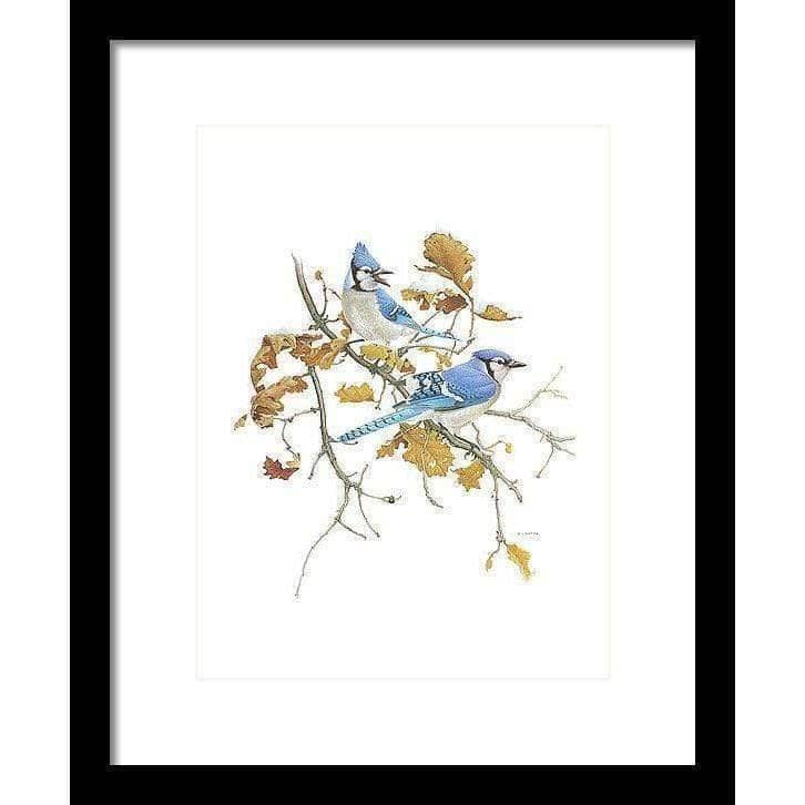 Blue Jays - Framed Print | Artwork by Glen Loates