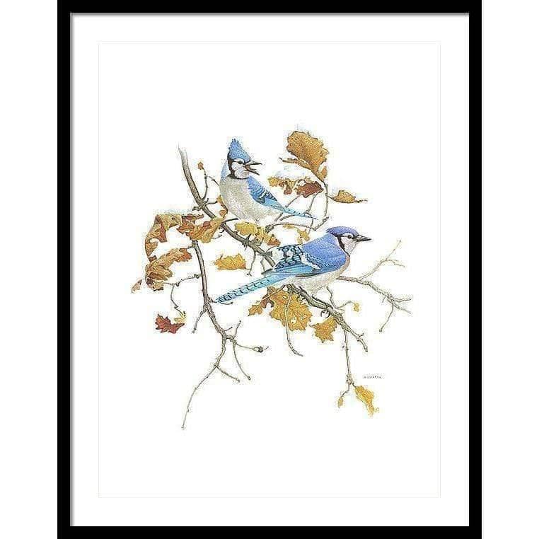 Blue Jays - Framed Print | Artwork by Glen Loates