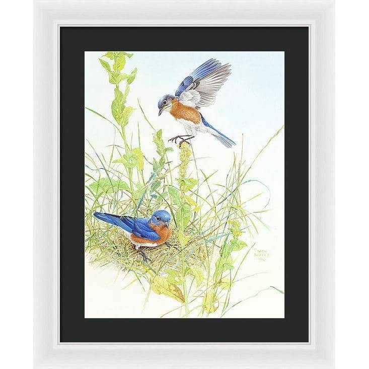 Bluebirds - Framed Print | Artwork by Glen Loates