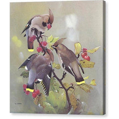 Gallery Canvas