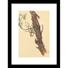 Framed Piece