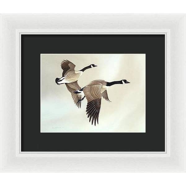 Canada Geese - Framed Print | Artwork by Glen Loates