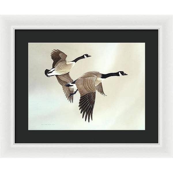 Canada Geese - Framed Print | Artwork by Glen Loates