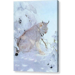 Gallery Canvas