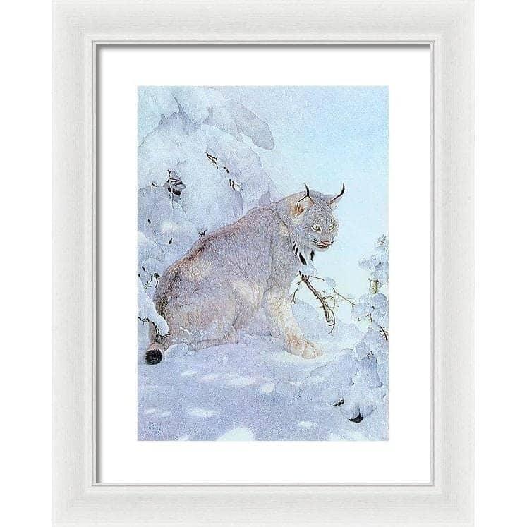 Canada Lynx - Framed Print | Artwork by Glen Loates