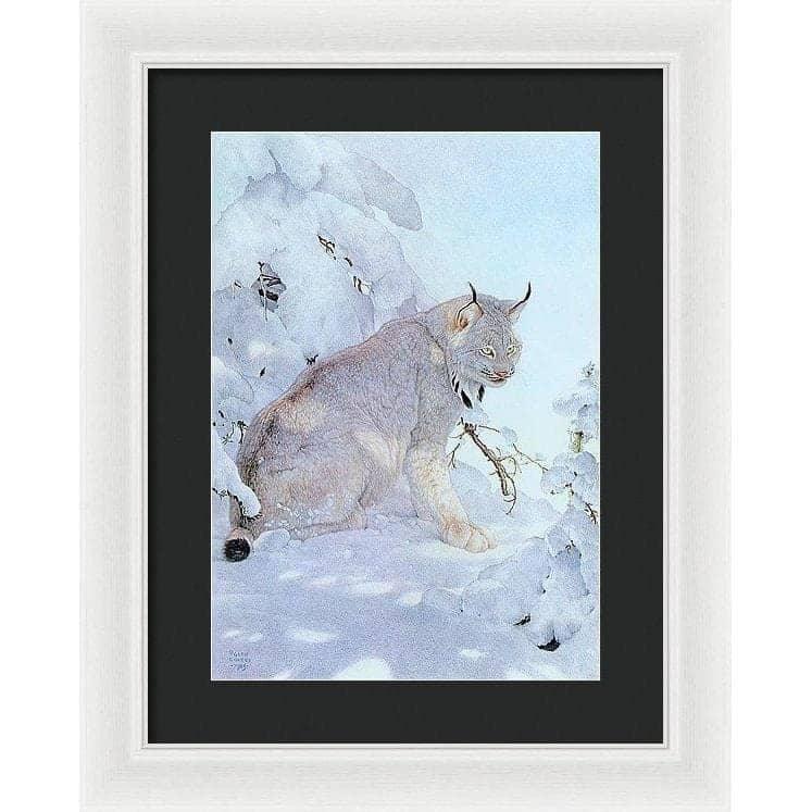 Canada Lynx - Framed Print | Artwork by Glen Loates