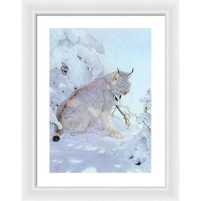 Canada Lynx - Framed Print | Artwork by Glen Loates