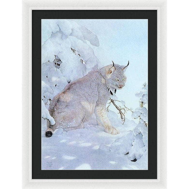 Canada Lynx - Framed Print | Artwork by Glen Loates