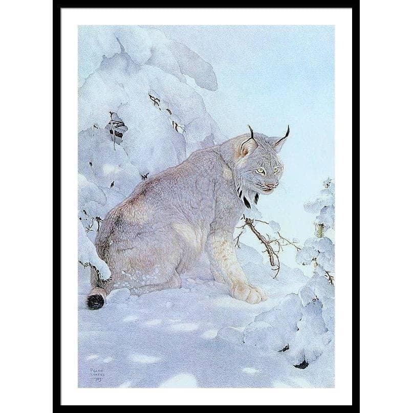 Canada Lynx - Framed Print | Artwork by Glen Loates