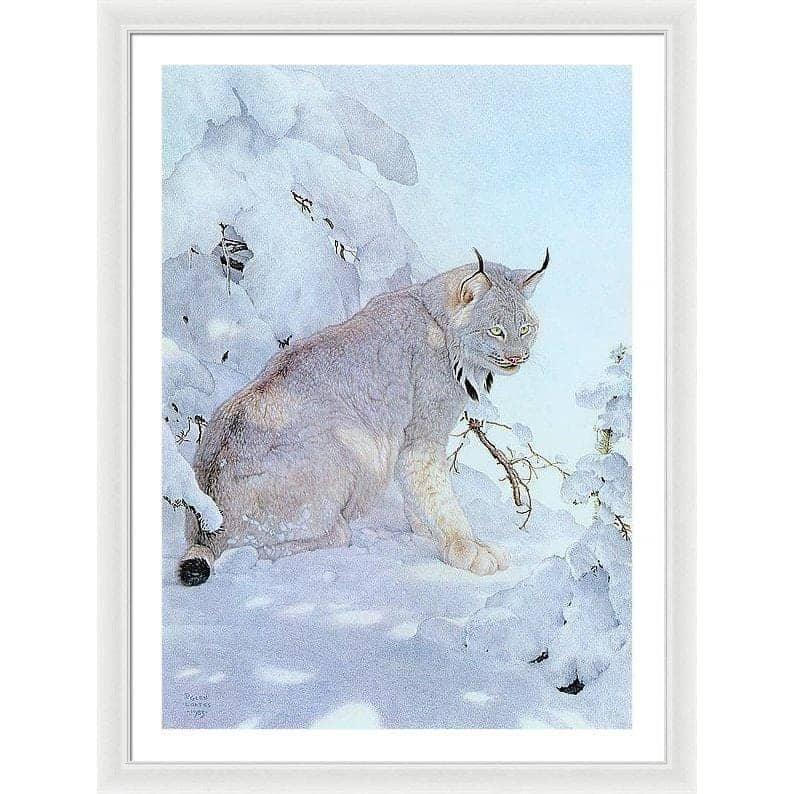 Canada Lynx - Framed Print | Artwork by Glen Loates