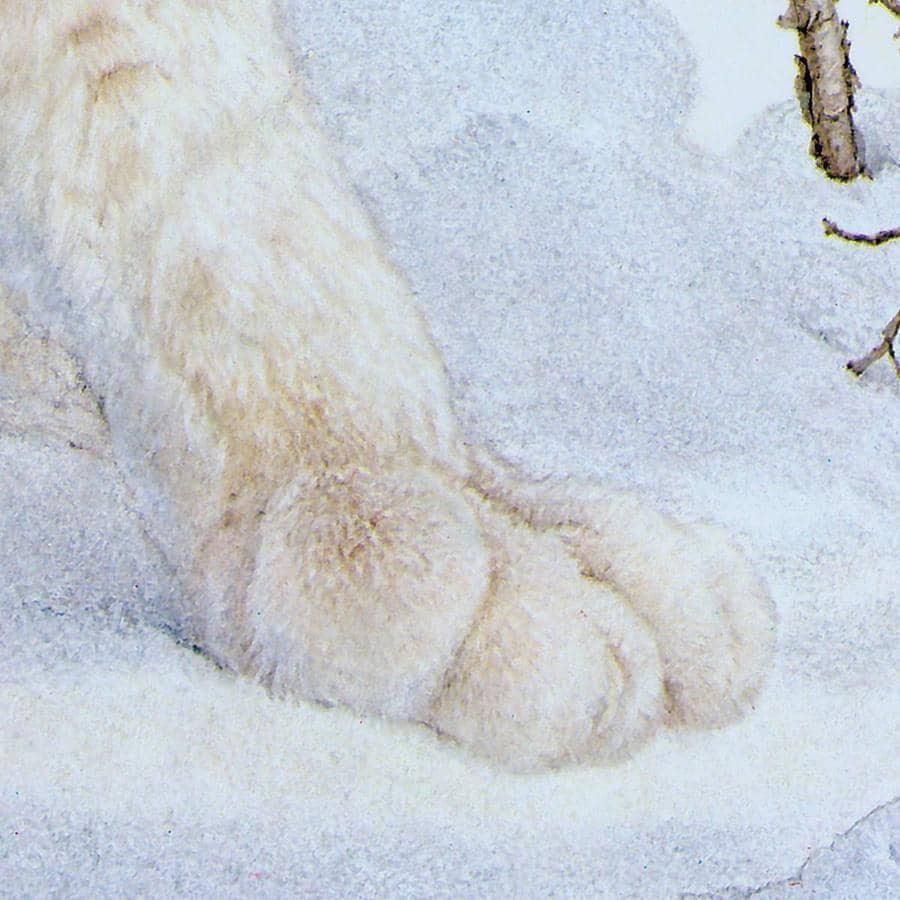 Canada Lynx - Framed Print | Artwork by Glen Loates