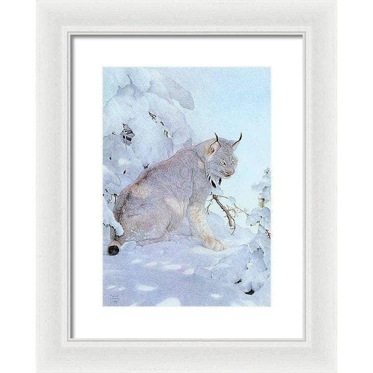 Canada Lynx - Framed Print | Artwork by Glen Loates
