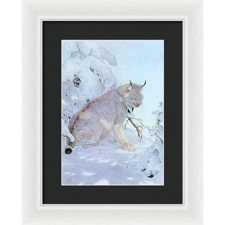 Canada Lynx - Framed Print | Artwork by Glen Loates