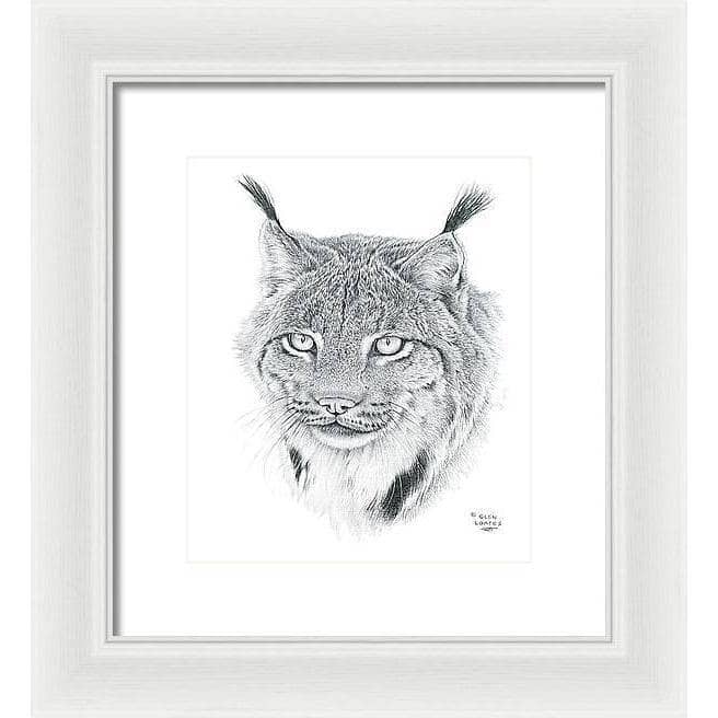 Canada Lynx Portrait - Framed Print | Artwork by Glen Loates