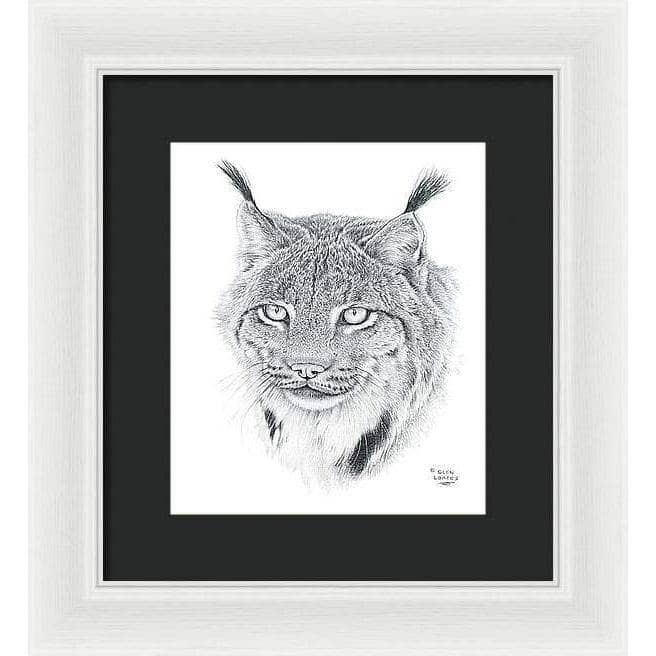 Canada Lynx Portrait - Framed Print | Artwork by Glen Loates