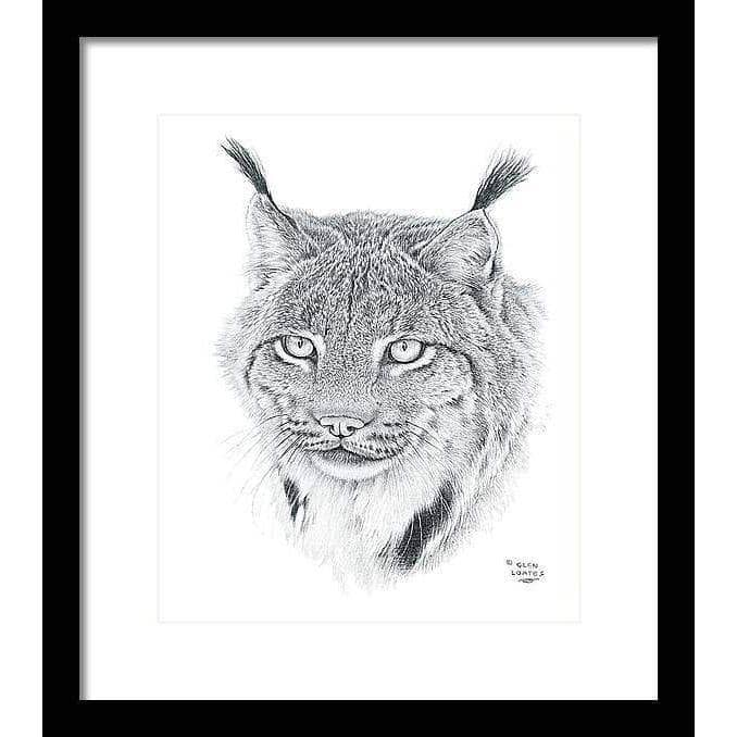Canada Lynx Portrait - Framed Print | Artwork by Glen Loates