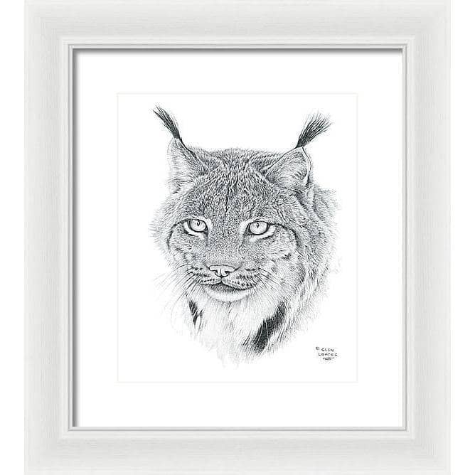 Canada Lynx Portrait - Framed Print | Artwork by Glen Loates