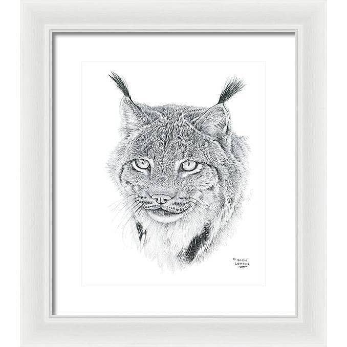 Canada Lynx Portrait - Framed Print | Artwork by Glen Loates