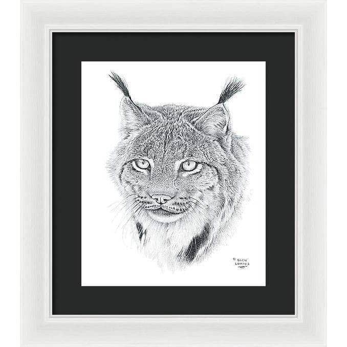 Canada Lynx Portrait - Framed Print | Artwork by Glen Loates
