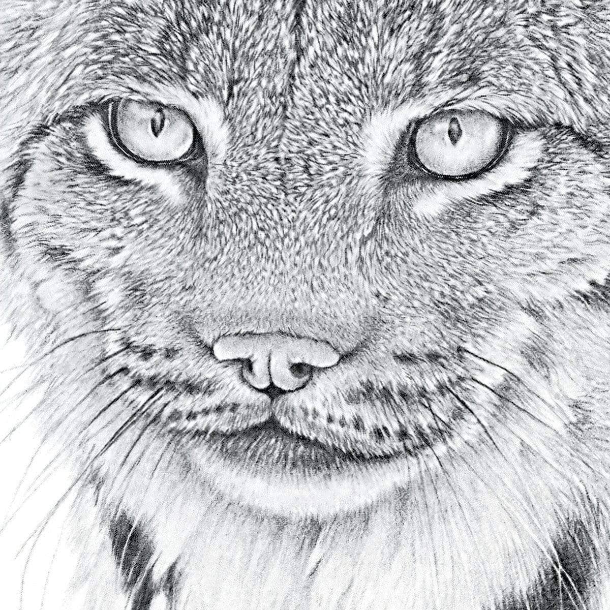 Canada Lynx Portrait - Framed Print | Artwork by Glen Loates