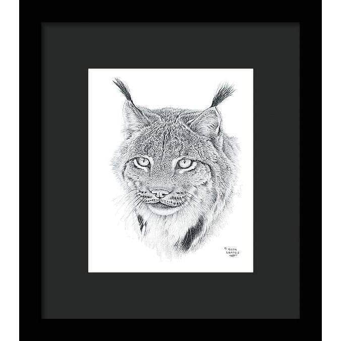 Canada Lynx Portrait - Framed Print | Artwork by Glen Loates