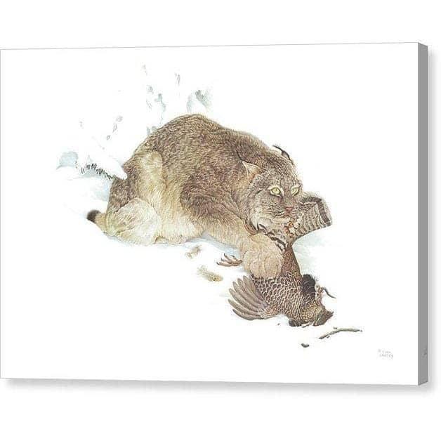 Canada Lynx with Ruffed Grouse - Canvas Print | Artwork by Glen Loates