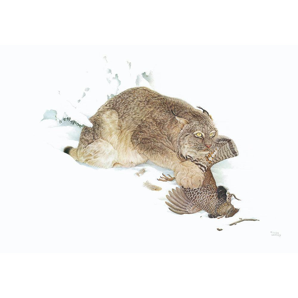 Canada Lynx with Ruffed Grouse - Canvas Print | Artwork by Glen Loates