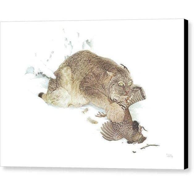 Canada Lynx with Ruffed Grouse - Canvas Print | Artwork by Glen Loates