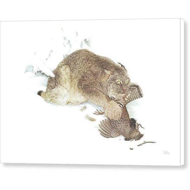 Canada Lynx with Ruffed Grouse - Canvas Print | Artwork by Glen Loates