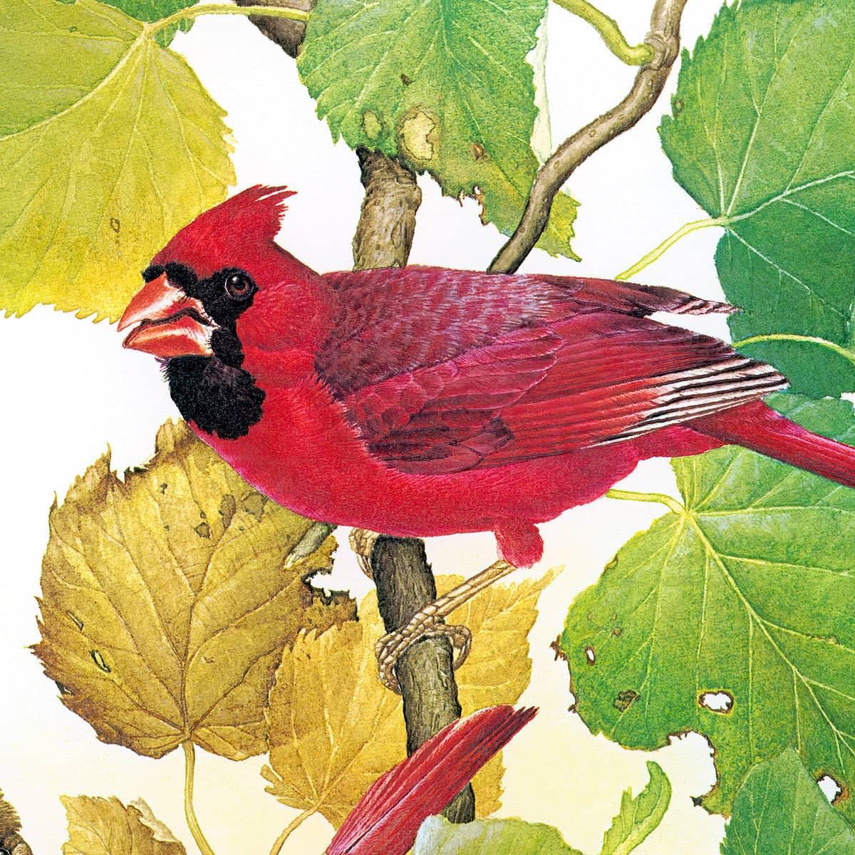 Cardinals - Canvas Print | Artwork by Glen Loates