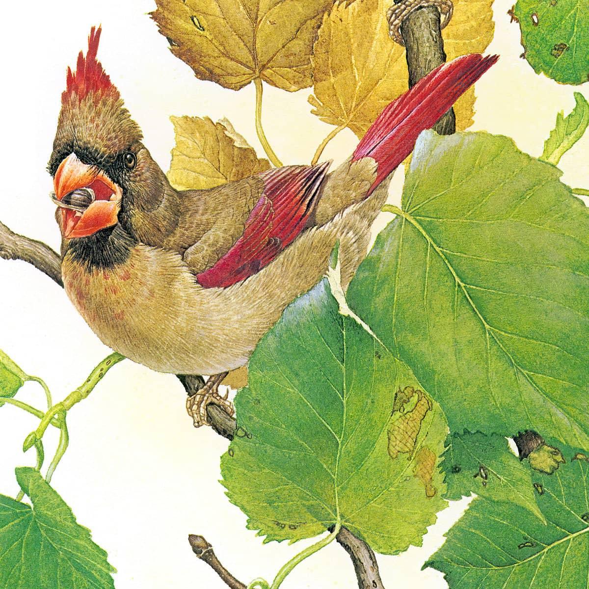 Cardinals - Canvas Print | Artwork by Glen Loates