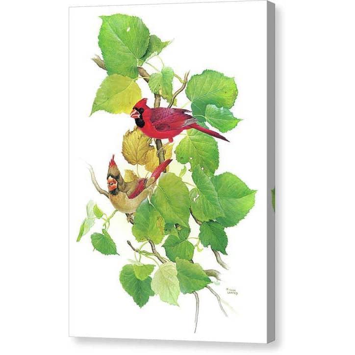 Cardinals - Canvas Print | Artwork by Glen Loates