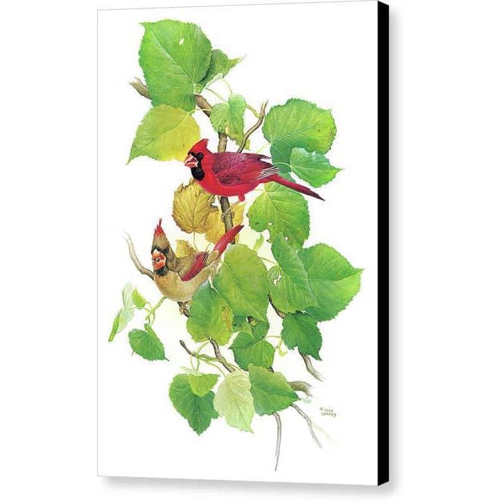Cardinals - Canvas Print | Artwork by Glen Loates