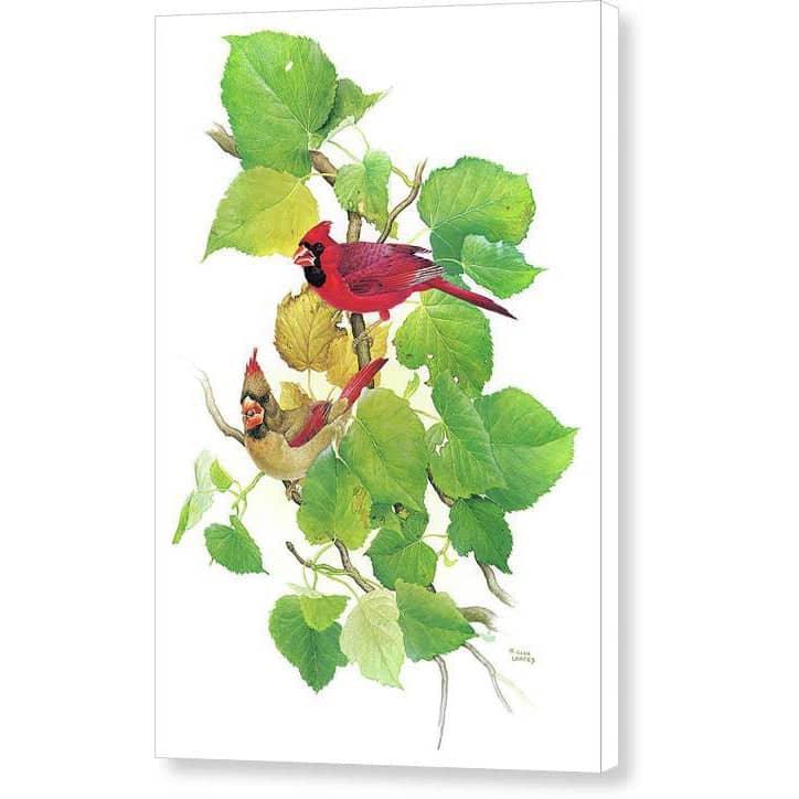 Cardinals - Canvas Print | Artwork by Glen Loates