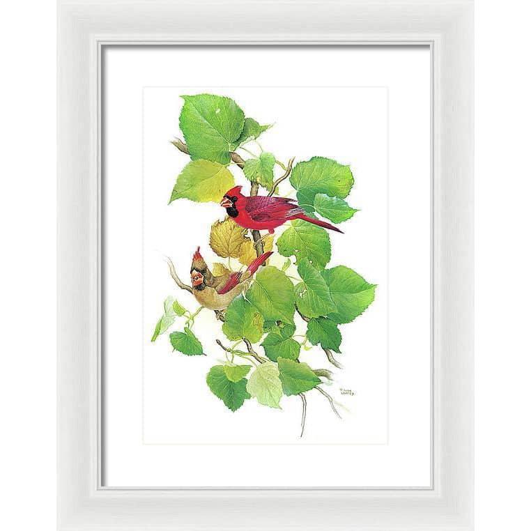 Cardinals - Framed Print | Artwork by Glen Loates