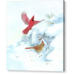 Gallery Canvas