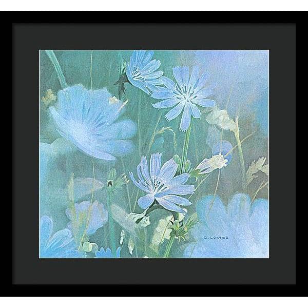 Chicories - Framed Print | Artwork by Glen Loates