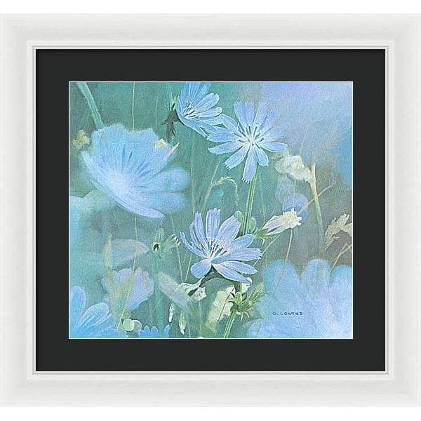 Chicories - Framed Print | Artwork by Glen Loates