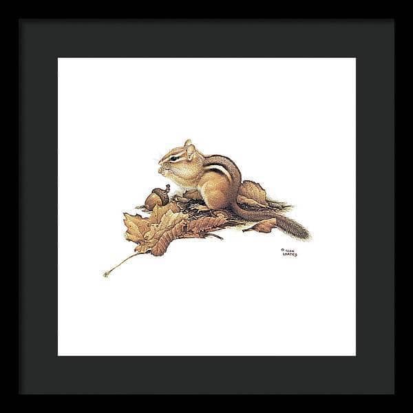 Chipmunk and Acorns - Framed Print | Artwork by Glen Loates
