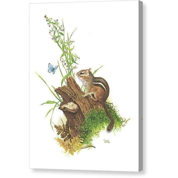 Chipmunk and Woodland Blue Butterfly - Canvas Print | Artwork by Glen Loates