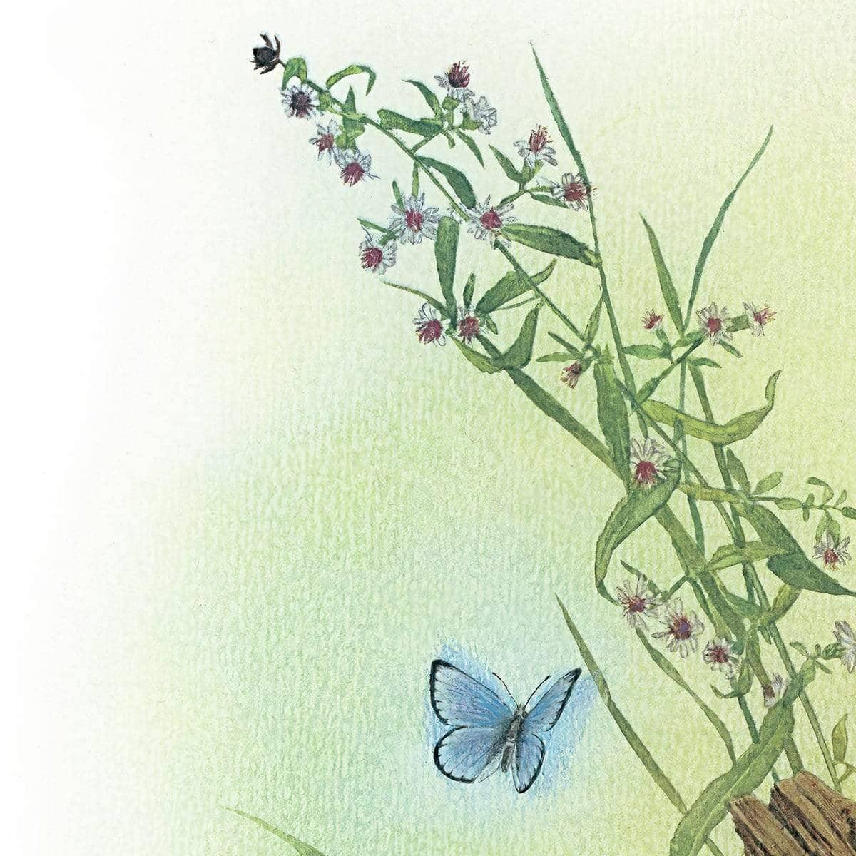 Chipmunk and Woodland Blue Butterfly Enhanced - Original | Artwork by Glen Loates