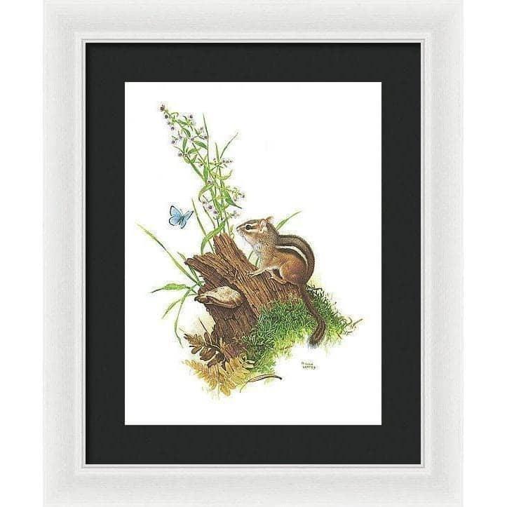 Chipmunk and Woodland Blue Butterfly - Framed Print | Artwork by Glen Loates