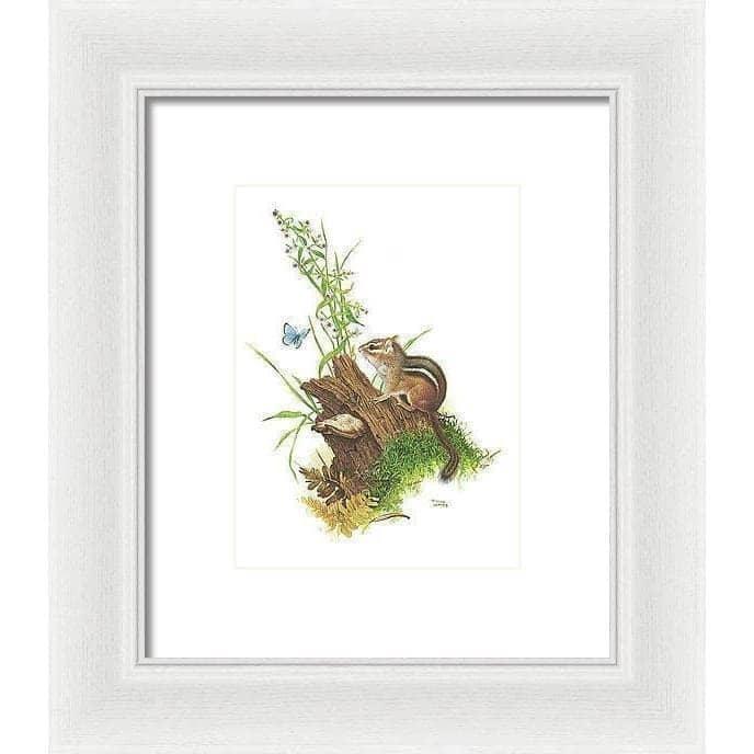 Chipmunk and Woodland Blue Butterfly - Framed Print | Artwork by Glen Loates