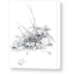 Gallery Canvas