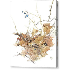 Toile Galerie