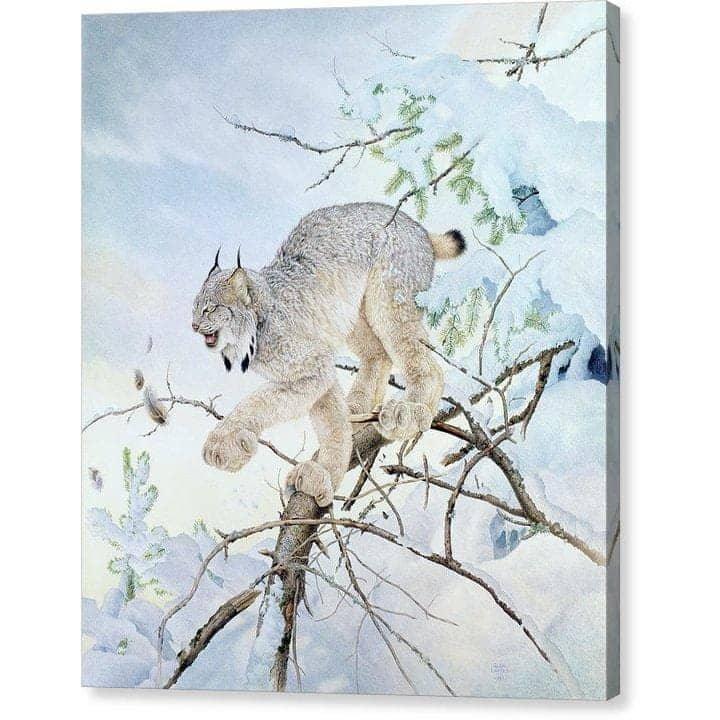 Close Call by Glen Loates, gallery canvas: a Canada lynx leaping through snow-covered branches