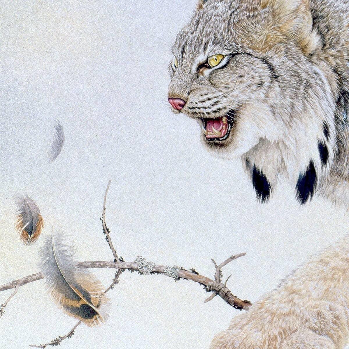 Close Call - Framed Print | Artwork by Glen Loates